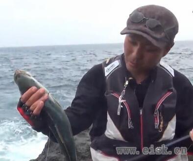 海釣天動画 見島クロマグロ