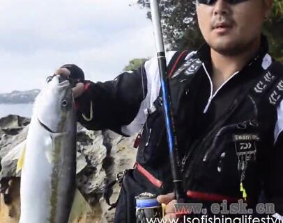 ISO fishing for kingfish