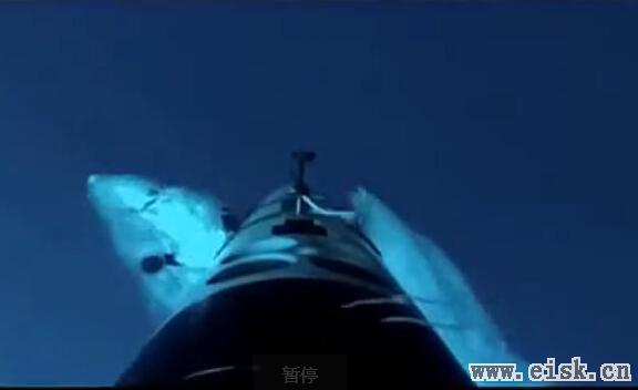 水下相机揭示鲨鱼发动攻击骇人过程