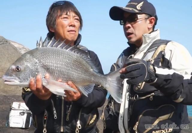 Shimano 国境を越えてつながる釣り交遊台湾の離島で磯釣り