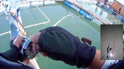 正式.MP4_1491198609.gif 正式.MP4_1491198609.gif