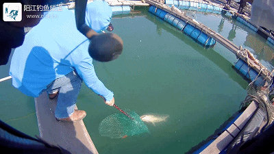 正式.MP4_1491198789.gif 正式.MP4_1491198789.gif