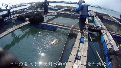 正式.MP4_1491200371.gif 正式.MP4_1491200371.gif