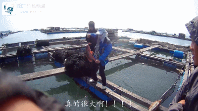 正式.MP4_1491200533.gif 正式.MP4_1491200533.gif