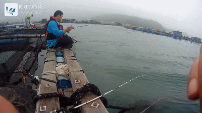 正式.mp4_1491657385.gif 正式.mp4_1491657385.gif