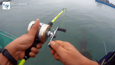 正式.mp4_1491658135.gif 正式.mp4_1491658135.gif