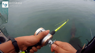 正式.mp4_1491658260.gif 正式.mp4_1491658260.gif