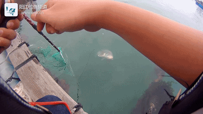 正式.mp4_1491658769.gif 正式.mp4_1491658769.gif