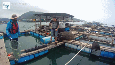 正式.mp4_1491659445.gif 正式.mp4_1491659445.gif