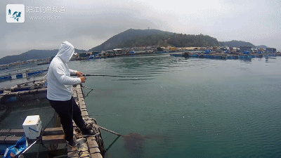 正式.mp4_1491659520.gif 正式.mp4_1491659520.gif