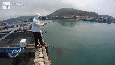 正式.mp4_1491659816.gif 正式.mp4_1491659816.gif