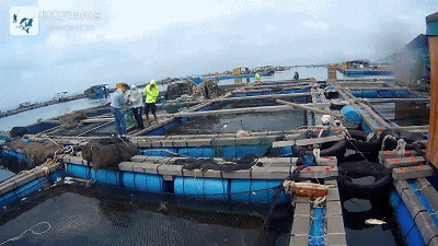 正式.mp4_1491659980.gif 正式.mp4_1491659980.gif