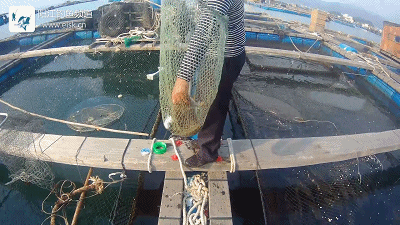 正式.mp4_1491660810.gif 正式.mp4_1491660810.gif