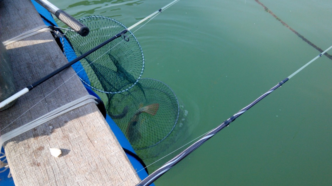 [sm]2013年闸坡鱼排筏钓汇总